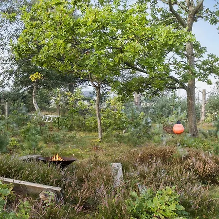 Awesome In With Wifi *